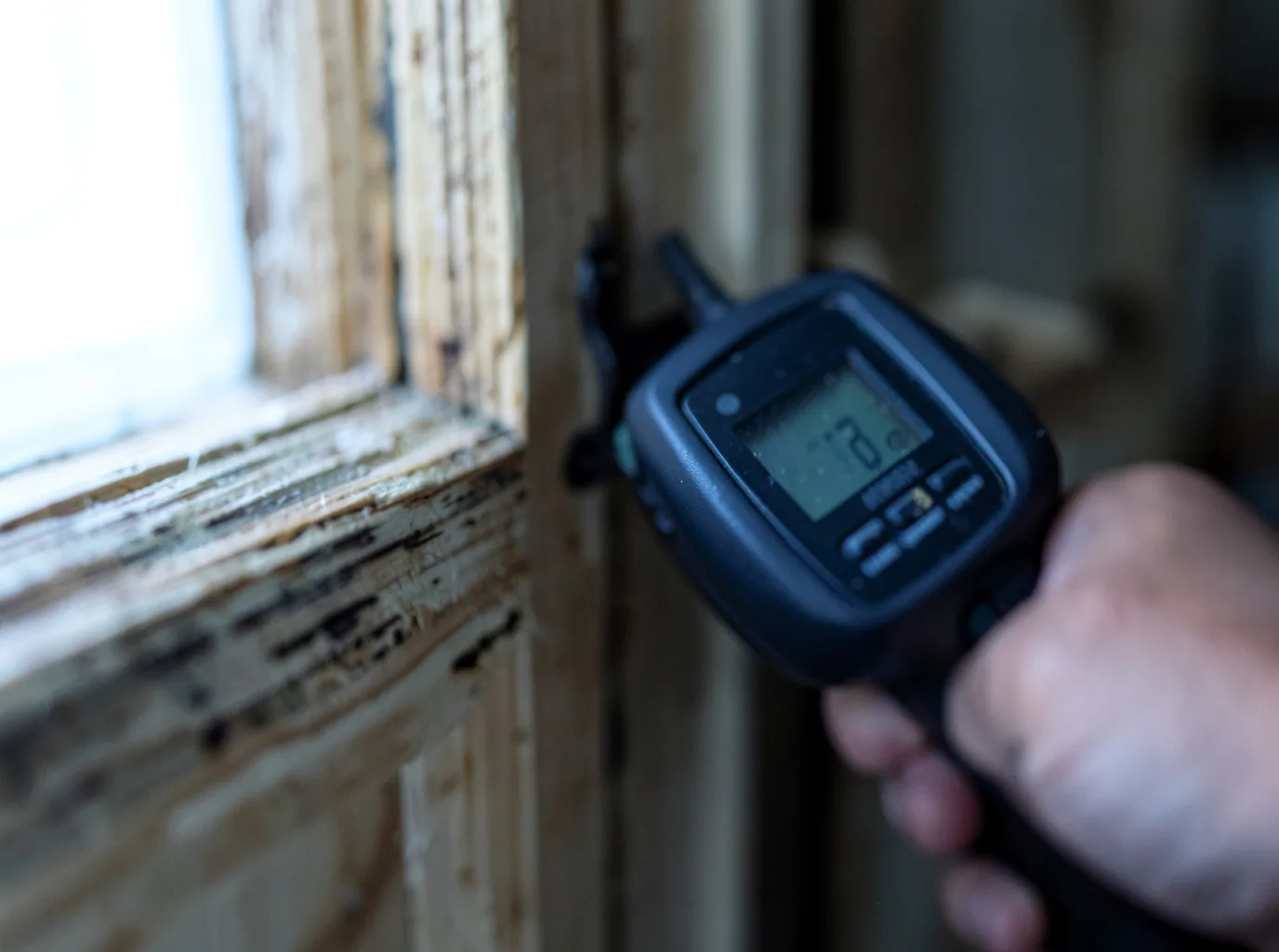Moisture Inspection And Documentation in South Royalton, VT
